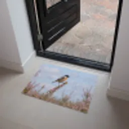 Roodborsttapuit - Heide - Paars - Natuur - Sfeervol Deurmat klein -sfeer5