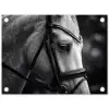Paard - Schimmel - Portret tuinposter los doek klein -3d