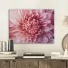 Dahlia - Bloem - Close up - Roze PET vilt klein -sfeer1