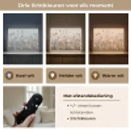 Bloemen - Roze - Modern - Beige Light Box met batterij (Wandlamp) middel -USP_lichtkleurNL
