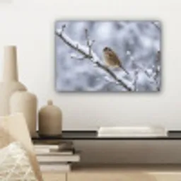 Vogel - Tak - Sneeuw - Winter canvas 2cm klein -sfeer6