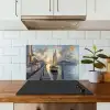 Zeilboot - Zon - Pier - Hout keuken achterwand spatscherm klein -sfeer2