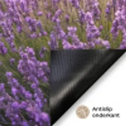 Lavendel - Veld - Natuur - Paars Deurmat klein -antislip_NL