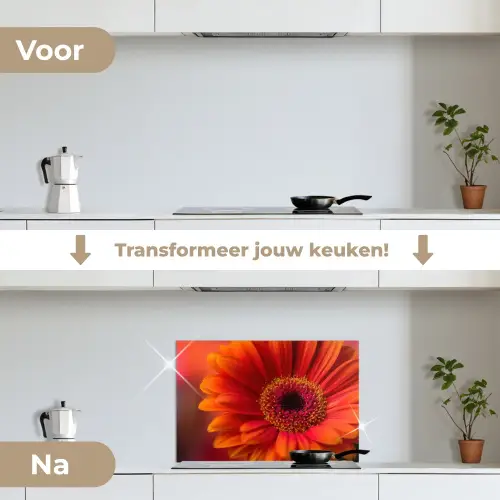 Oranje - Gerbera - Intens keuken achterwand spatscherm klein -voor_na_NL