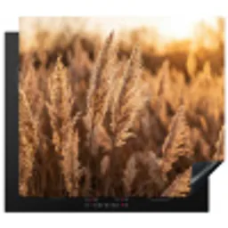Rietpluimen - Gras - Zonsondergang - Goud - Serene Inductie beschermer vinyl 3mm middel -3d