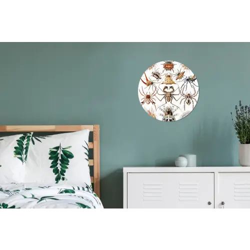 Retro - Ernst Haeckel - Insecten - Tuinposter - Tuin Wandcirkel aluminium klein -slaapkamer