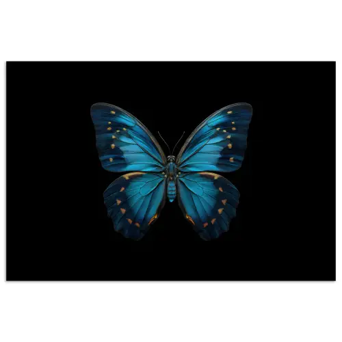 Vlinder - Blauw - Contrast poster papier klein -3d