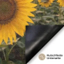 Zonnebloemen - Heuvellandschap - Geel Deurmat klein -antislip_DE