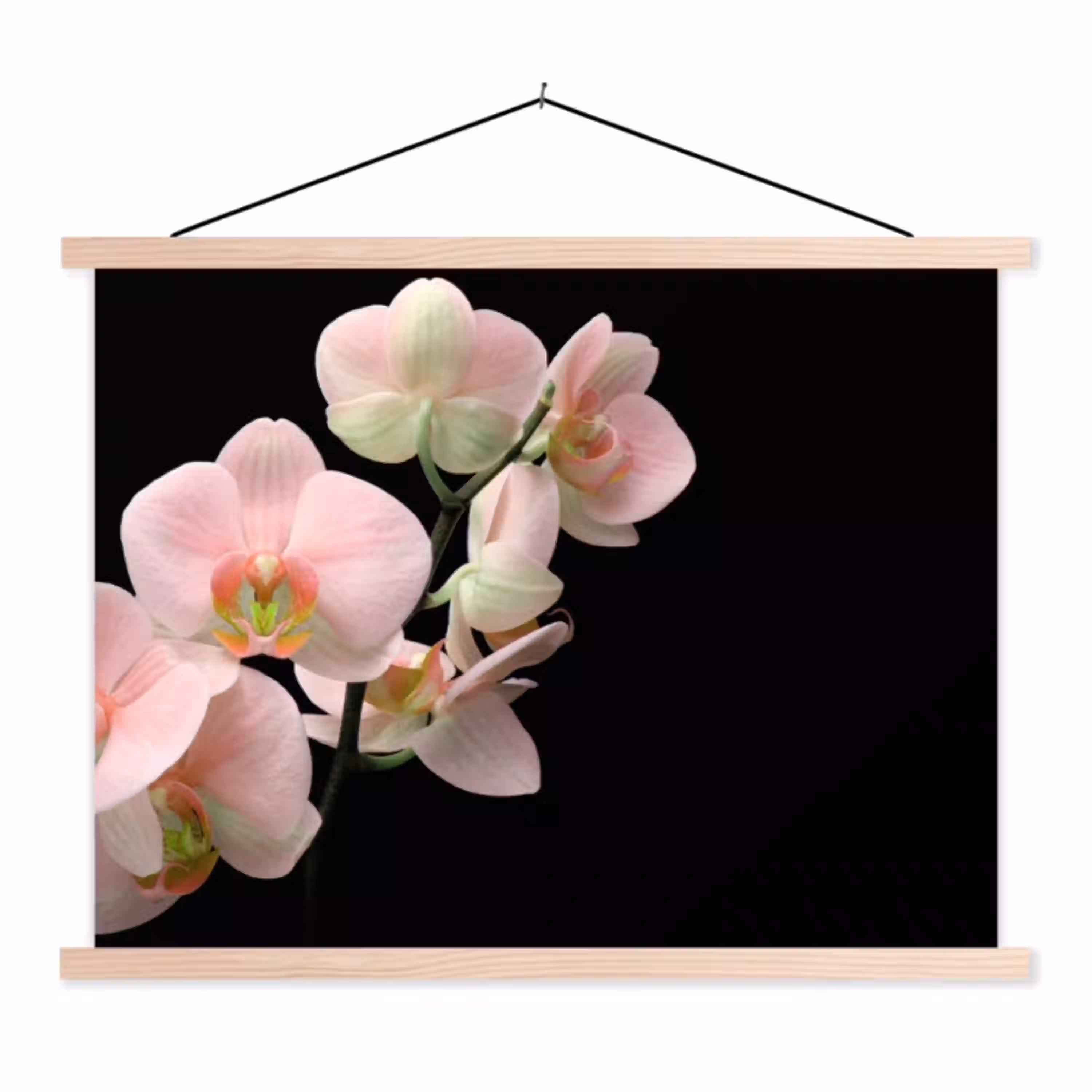 Orchidee - Bloemen - Roze - Stilleven - Flora textielposter latten blank klein -3d
