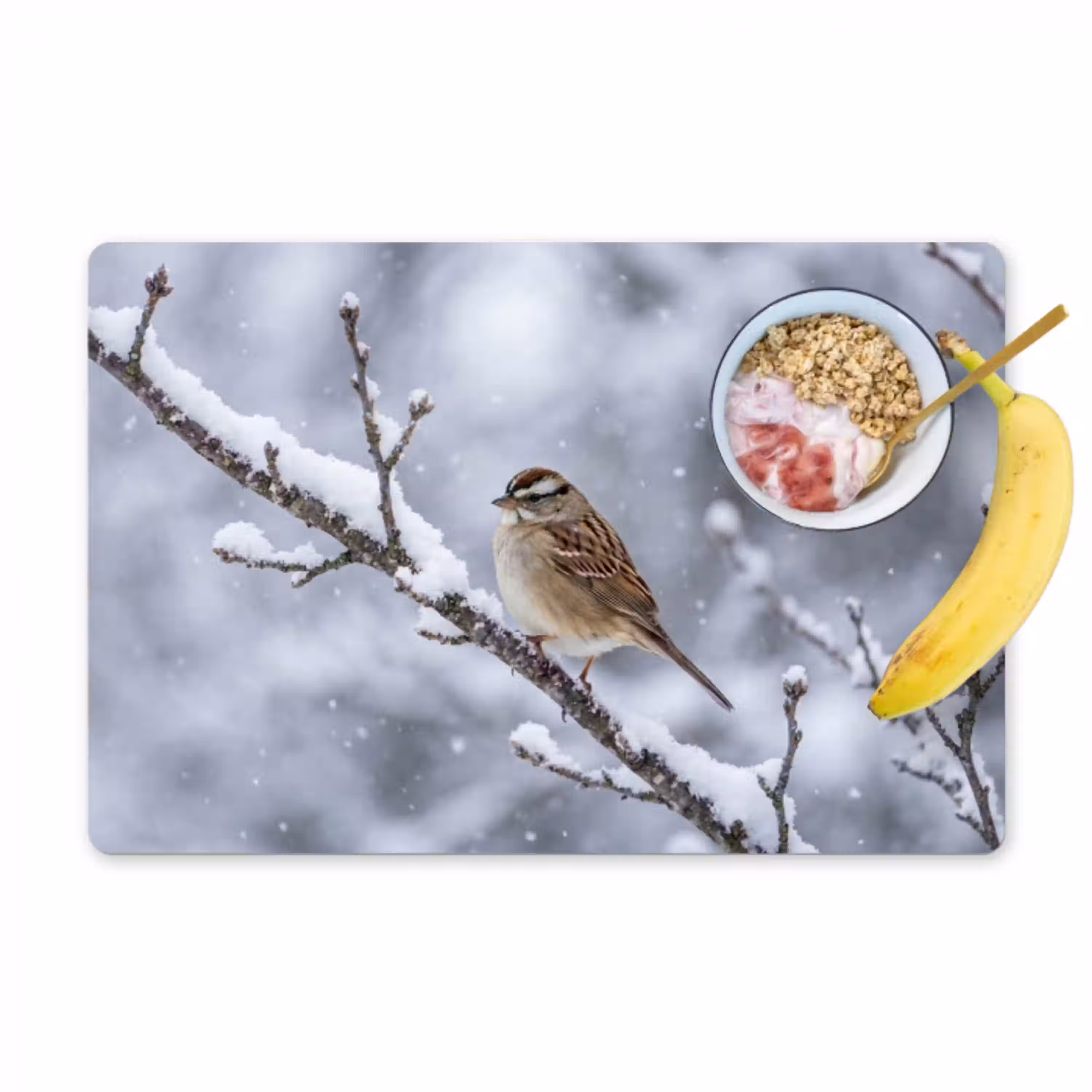 Vogel - Tak - Sneeuw - Winter Placemat vinyl groot -zzzproduct_Kitchenyeah-website