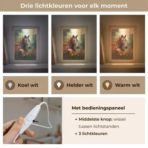 Paard - Bloemen - Natuur - Dieren - Bos - Oranje Light Box met kabel klein -USP_lichtkleurNL