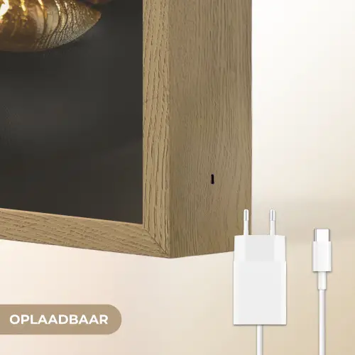 Lippen - Goud - Abstract - Zwart - Vrouw Light Box met batterij (Wandlamp) middel -USP_websiteoplaadbaarNL