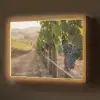 Druiven - Wijngaard - Zonlicht Light Box met batterij (Wandlamp) middel -z3d_website