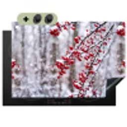 Bessen - Takken - Sneeuw - Winter - Kleurrijk Inductie beschemer met haakjes klein -3d