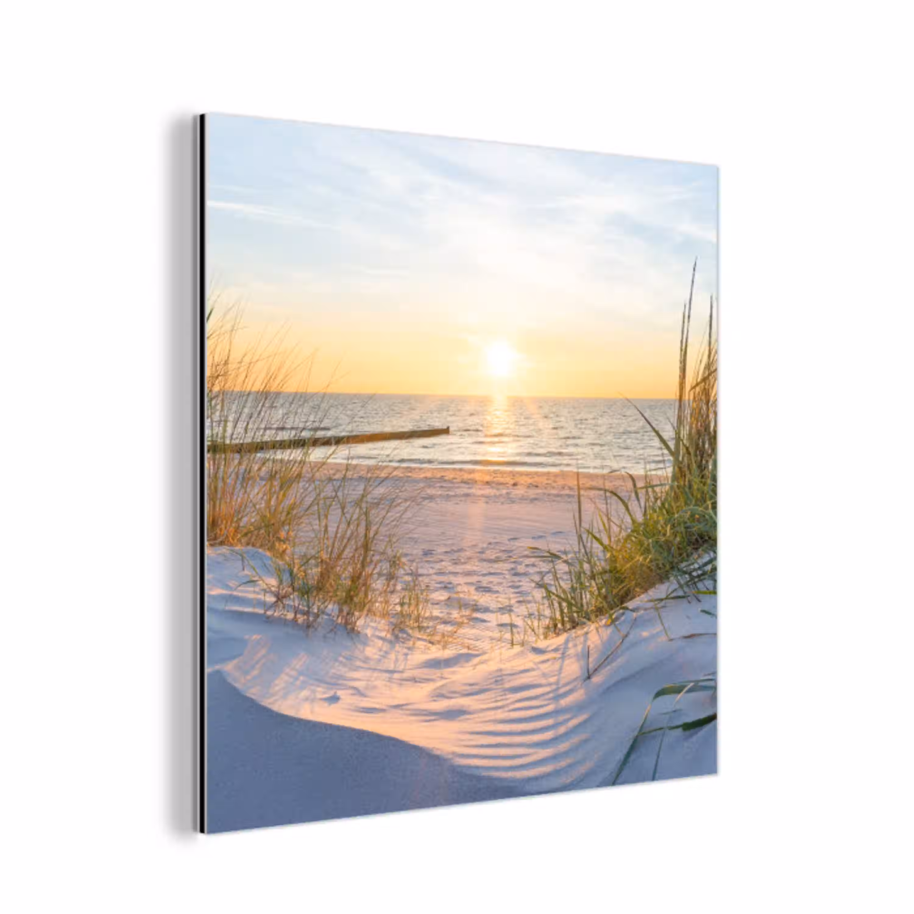 Strand - Zon - Duin - Gras - Zand - Horizon aluminium wit klein -3d