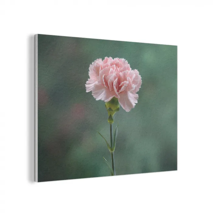 Anjer - Roze - Bloemblaadjes PET vilt klein -3d