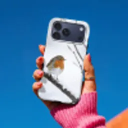 Roodborstje - Tak - Sneeuw - Winter - Levendig Toughcase MagSafe Apple iPhone 17 Pro Max klein -Sfeer1V