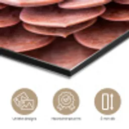 Vetplant - Organisch - Roze aluminium wit klein -closeup_NL
