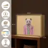 Panda - Pak - Zonnebril - Blauw Light Box met batterij (Wandlamp) middel -USP_websiteoverzichtNL