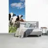 Koeien - Platteland - Weiland - Natuur - Dieren fotobehang vinyl groot -slaapkamer
