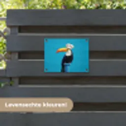 Tucan - Sokkel - Vogel - Koksmuts tuinposter los doek klein -sfeer3