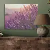 Lavendel - Paars - Zonlicht PET vilt klein -sfeer2