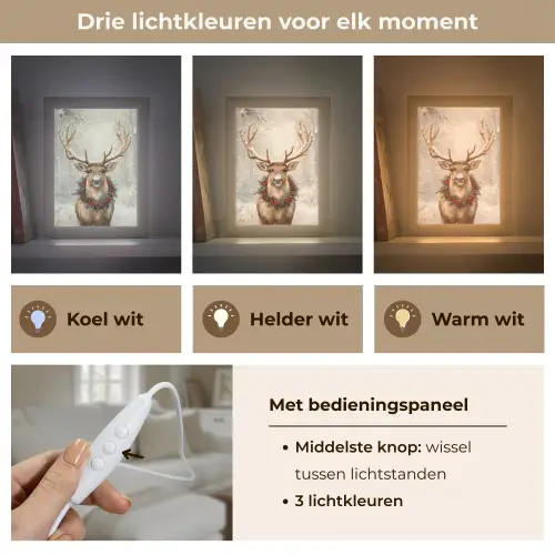 Kerst - Rendier - Winter - Krans Light Box met kabel (Tafellamp) klein -USP_lichtkleurNL