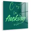 c'est la fucking vie - Groen - Handgeschreven plexiglas 5mm klein -zzzproduct_nieuw