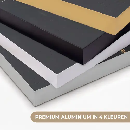 Leeuw - Gesplitst - Zwart - Lijn Textielframe zwart klein -USP_kleurenNL