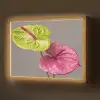 Planten - Anthurium - Groen - Roze Light Box met batterij (Wandlamp) middel -z3d_website