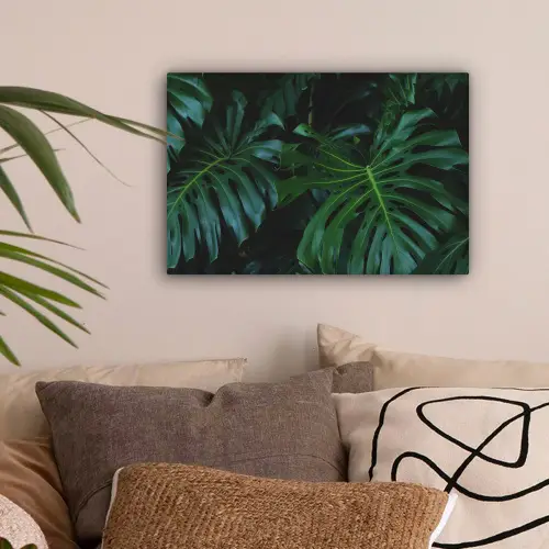 Monstera - Jungle - Bladeren canvas 2cm klein -sfeer1