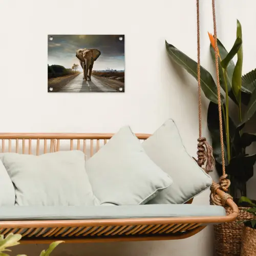 Olifant op een verlaten weg tuinposter los doek klein -sfeer7
