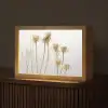 Droogbloemen - Natuur - Botanisch Light Box met kabel (Tafellamp) klein -z3d_website
