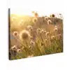 Planten - Natuur - Bloemen - Zon - Horizon canvas 2cm klein -z3d