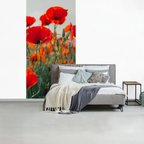 Klaproos - Bloemen - Wilde bloemen fotobehang vinyl groot -slaapkamer