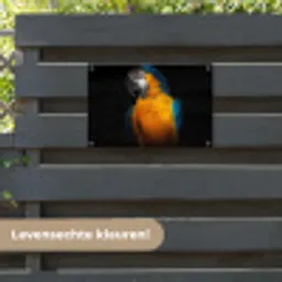 Dieren - Papegaai - Vogel tuinposter los doek klein -sfeer3