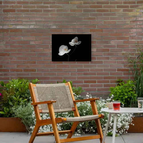 Orchidee - Bloemen - Zwart - Wit - Stilleven Tuinposter op houten frame 2 cm dik klein -sfeer3