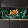 Paradijsvogel - Bloem - Exotisch keuken achterwand 2 middel -sfeer1