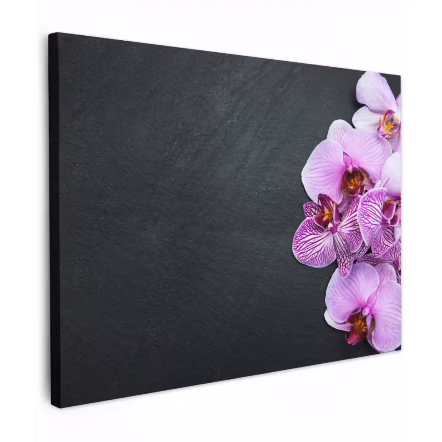Leinwandbild - Orchidee - Blumen - Rosa - Flora