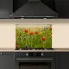Lente - Bloemen - Rood - Klaproos - Gras - Groen keuken achterwand spatscherm klein -sfeer1