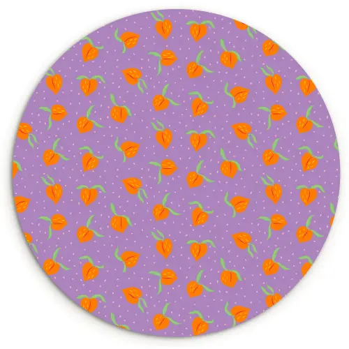 Paars - Oranje - Perzik Wandcirkel kunststof plaat 5mm dik klein 188 -3d
