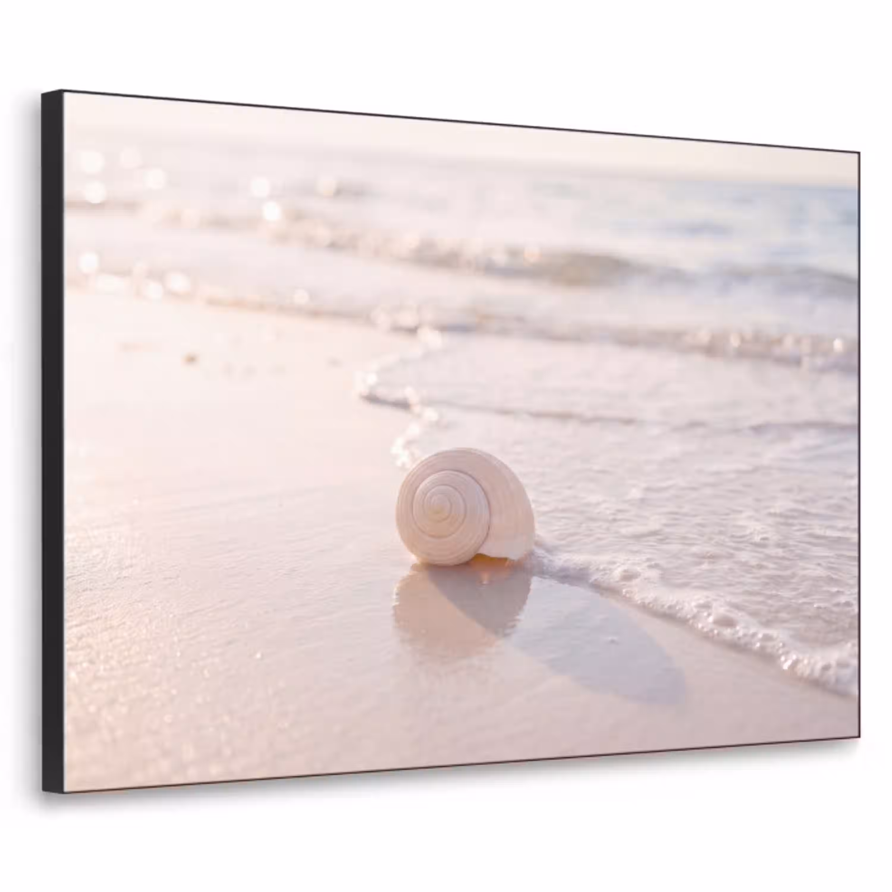 Zeeschelp - Strand - Zee - Natuur - Beige Textielframe zwart klein -3d