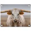 Longhorn - Grasveld - Dier tuinposter los doek klein -3d