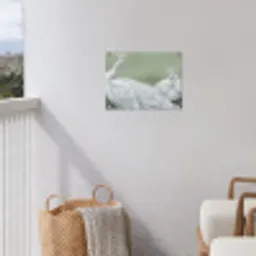 Pauwen - Wit - Natuur - Groen tuinposter los doek klein -sfeer8