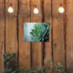Vetplant - Bladeren - Groen - Wazig tuinposter los doek klein -sfeer1