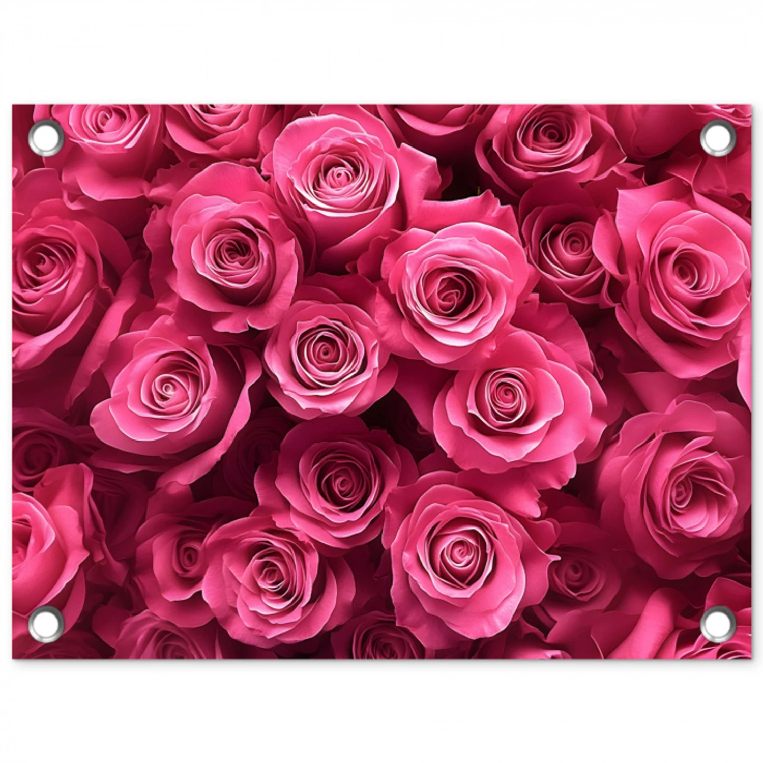 Rozen - Pink - Bloem tuinposter los doek klein -3d