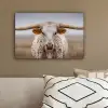 Longhorn - Grasveld - Dier canvas 2cm klein -sfeer3