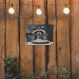 Wasbeer - Cute - Pasta - Tafelkleed - Zwart - Wit tuinposter los doek klein -sfeer1