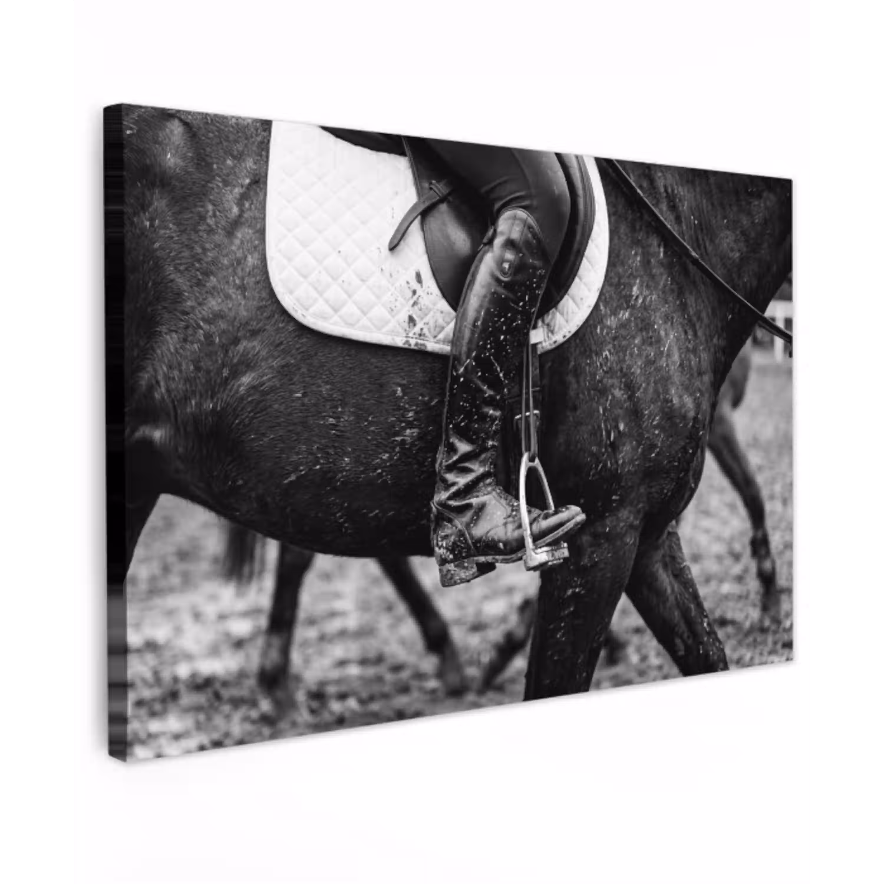 Paard - Sport - Zwart - Wit Tuinposter op houten frame 2 cm dik klein -3d