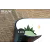 Sterren - Stegosaurussen - Blaadjes - Groen Placemat vinyl groot -closeup
